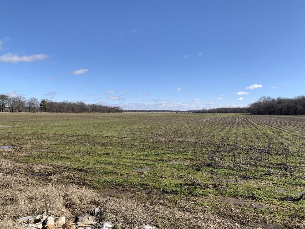 36 acres in Monroe County, Arkansas