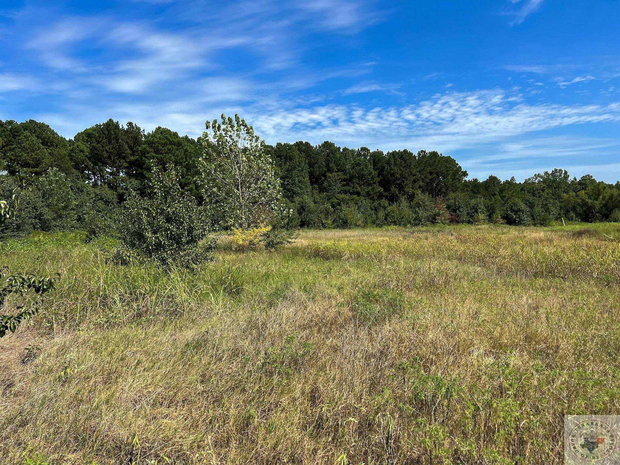 20 acres in Bowie County, Texas