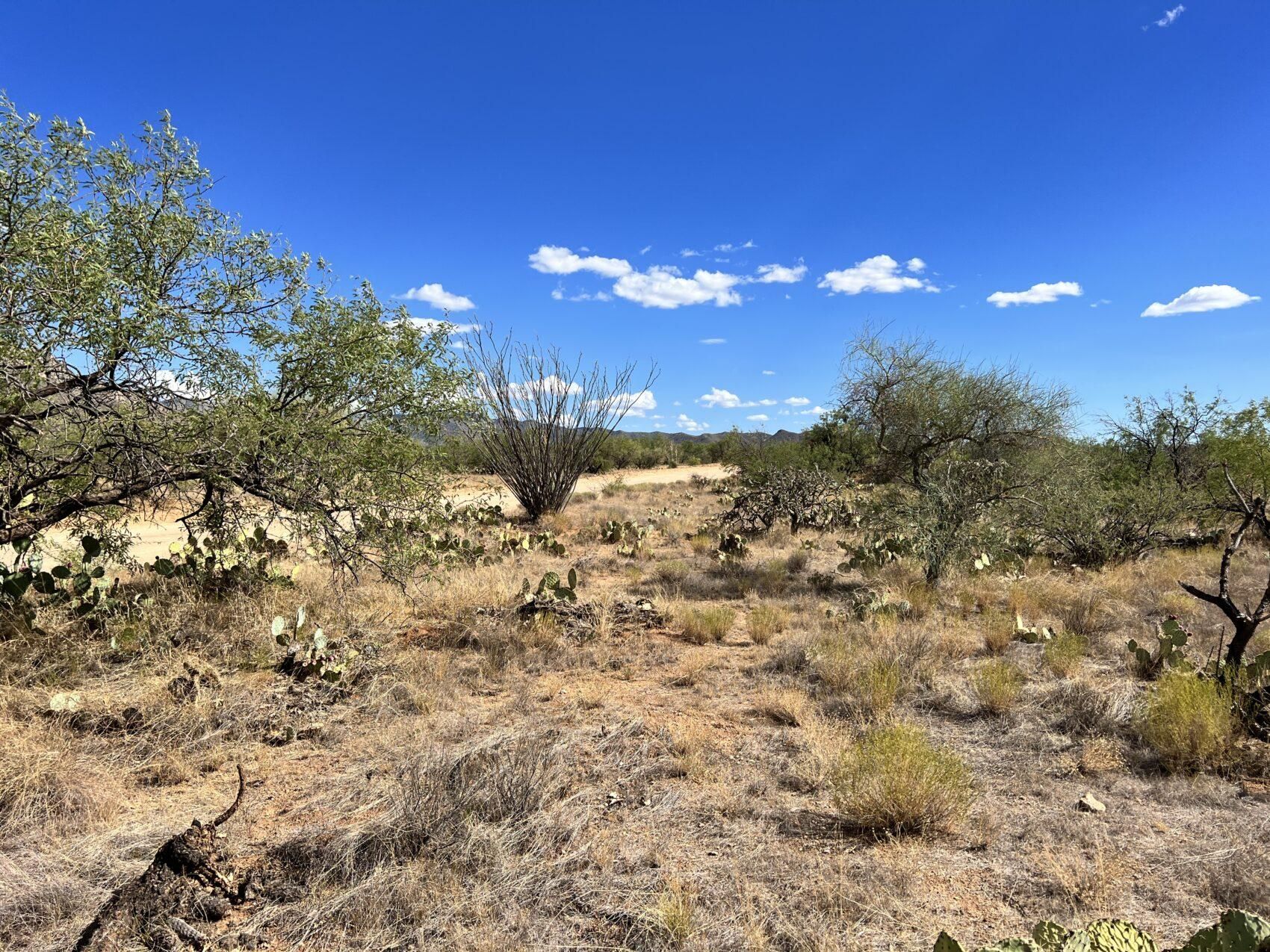 1.3 acres in Pima County, Arizona