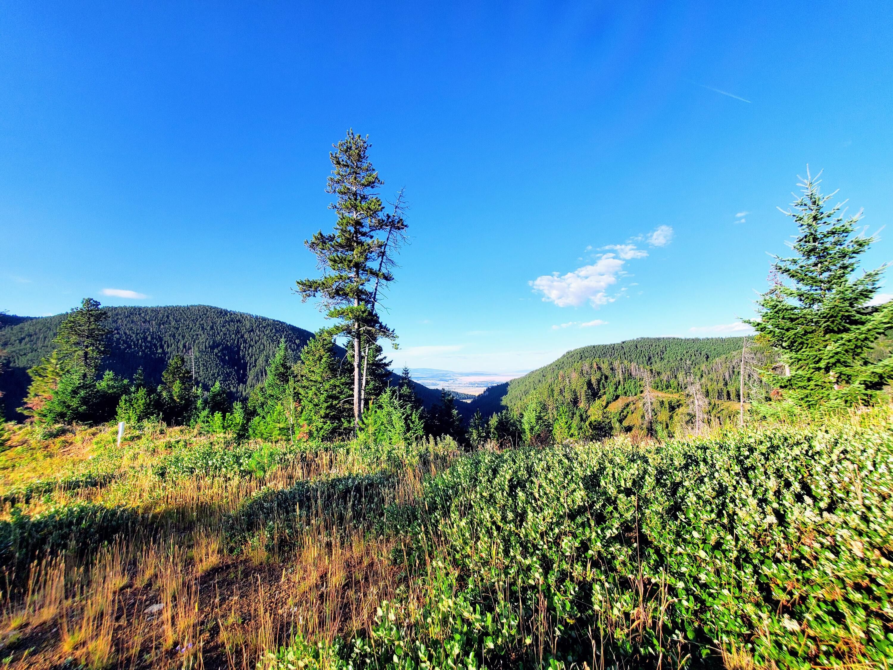 40 acres in Fergus County, Montana