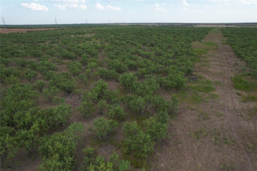 75+/ Ac Hwy 6, Lueders, TX 79533 MLS 20410916