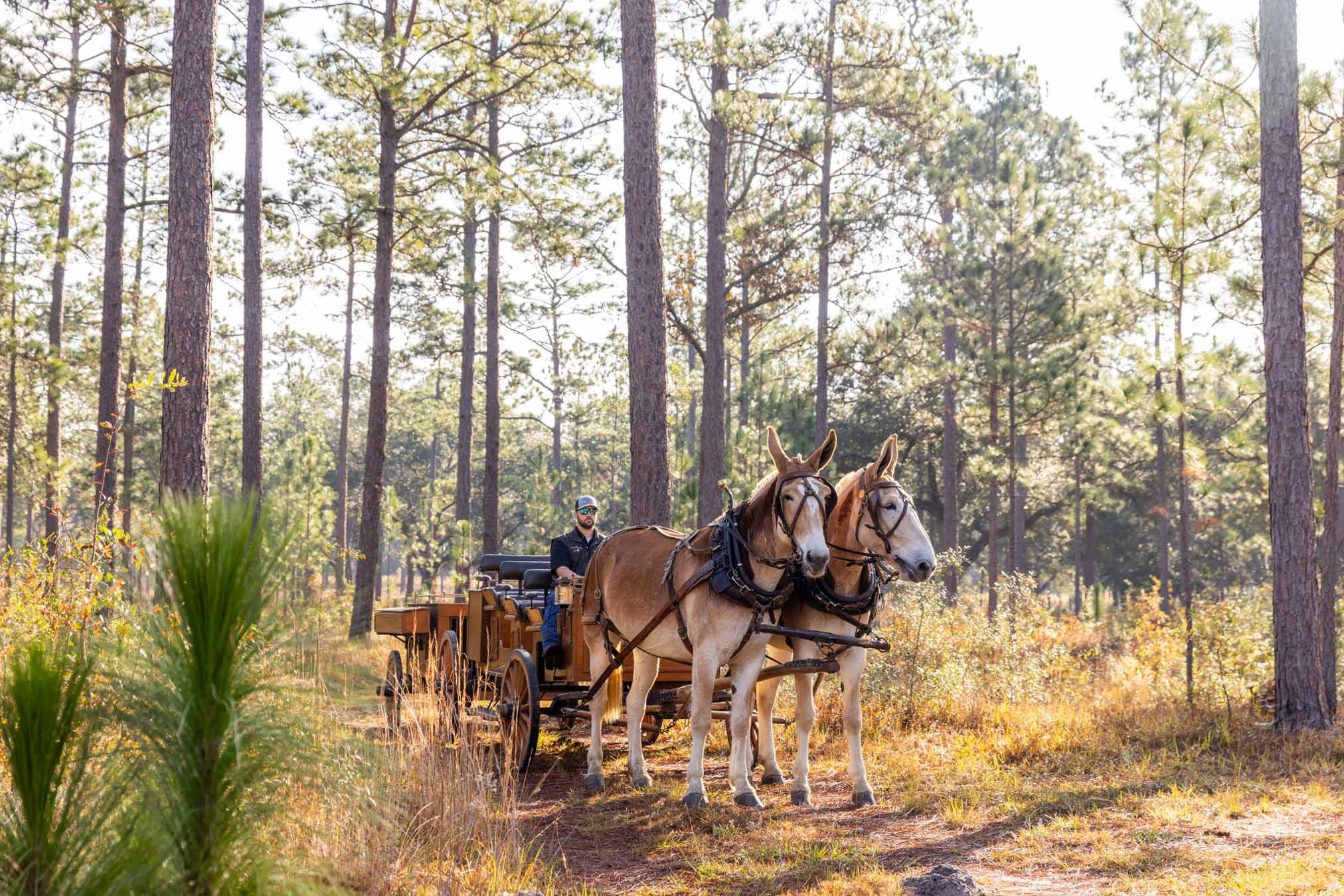 1,282 acres in Baker County,