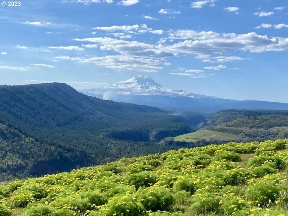 80 acres in Klickitat County, Washington