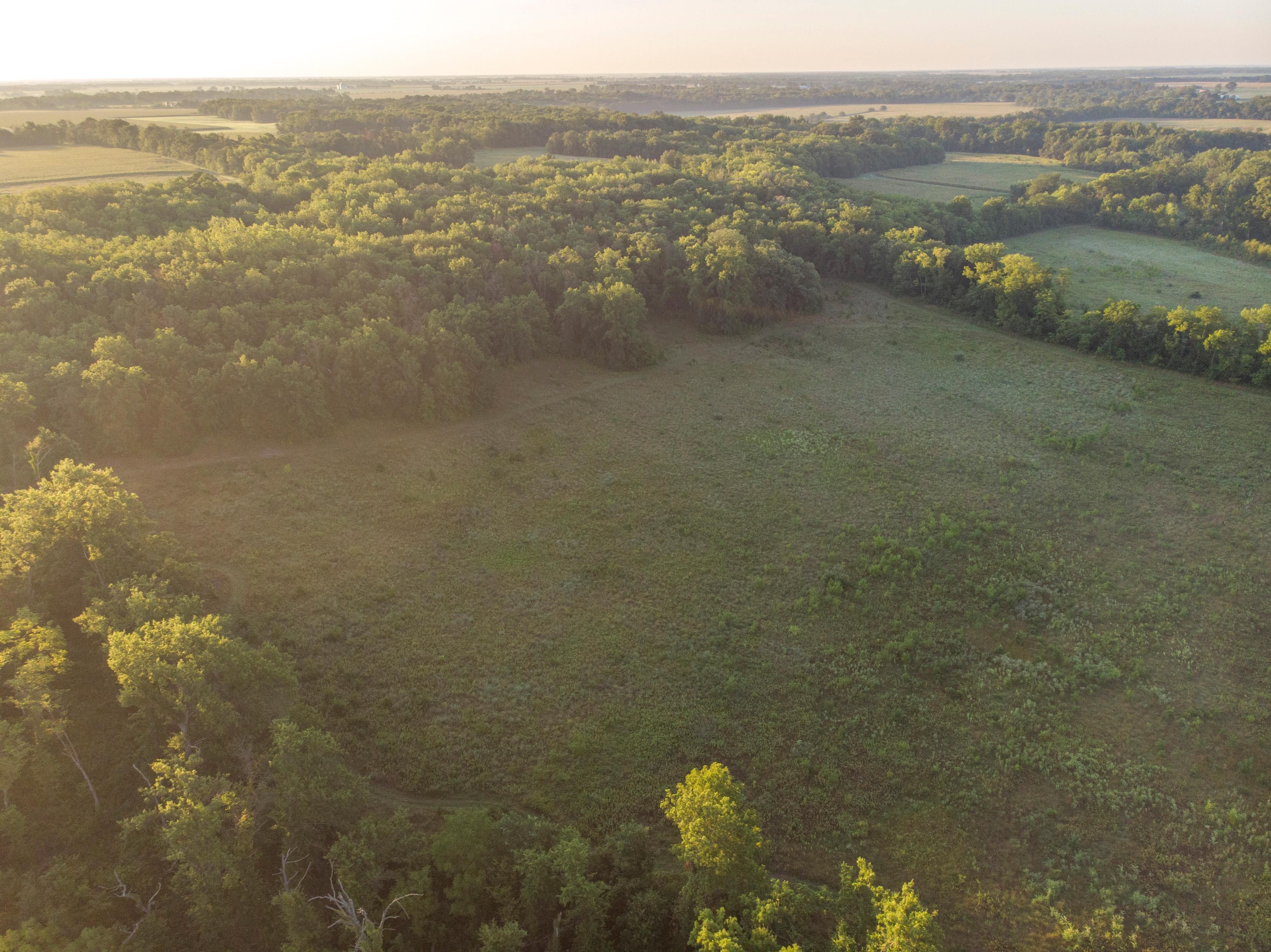 115 acres in Ralls County, Missouri