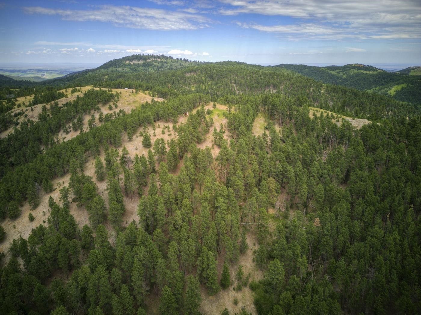 13.03 acres in Lawrence County, South Dakota