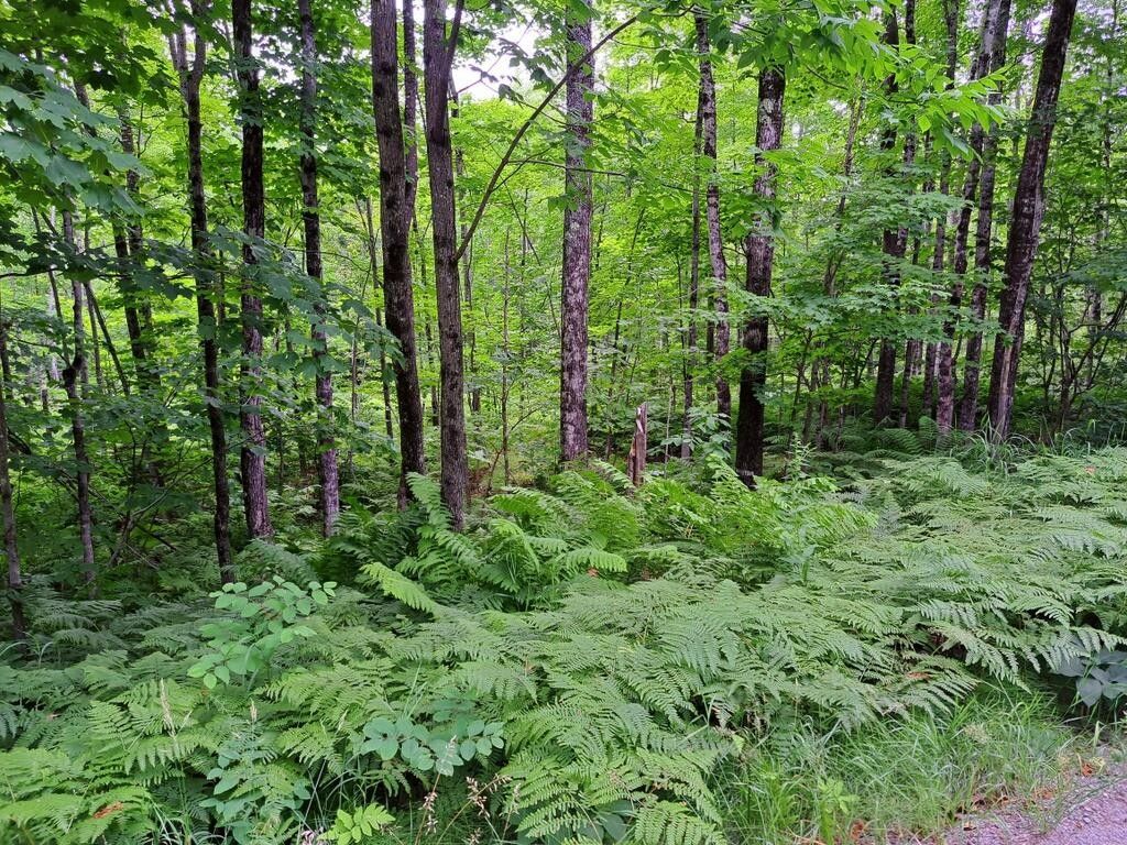 10 acres in Franklin County, Maine
