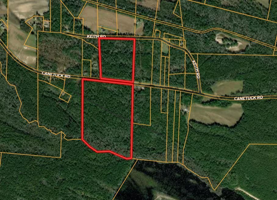 64 acres in Pender County, North Carolina