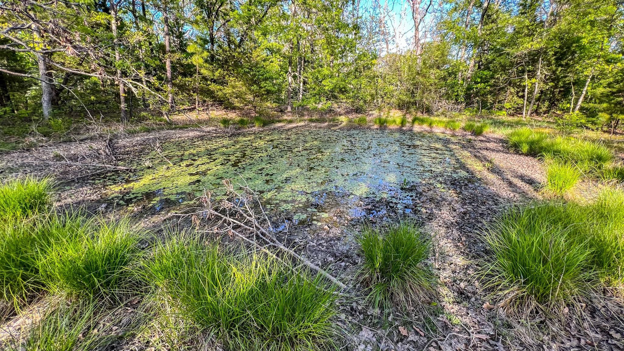 80 acres in Laclede County, Missouri