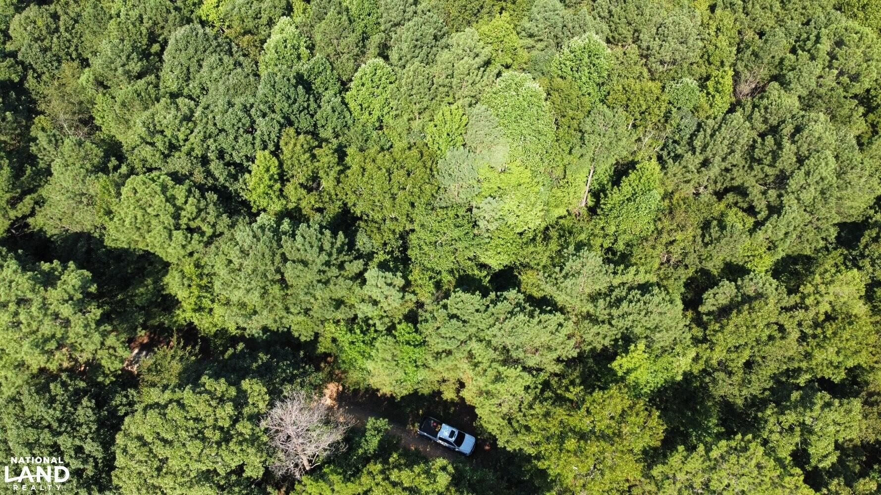 9.5 acres in Lafayette County, Mississippi