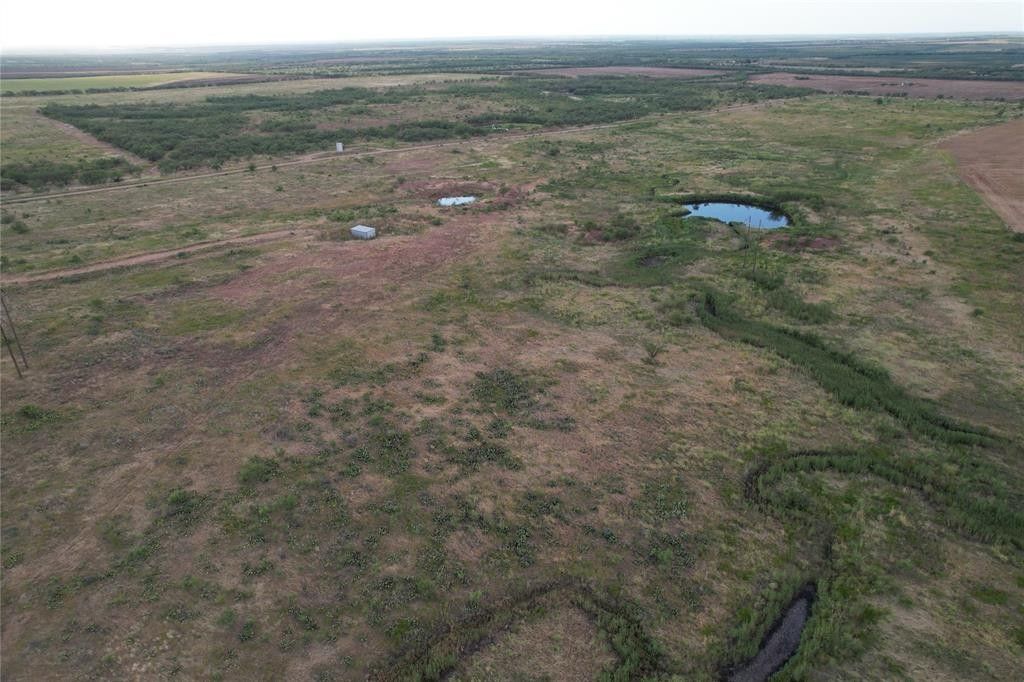 55 acres in Jones County, Texas