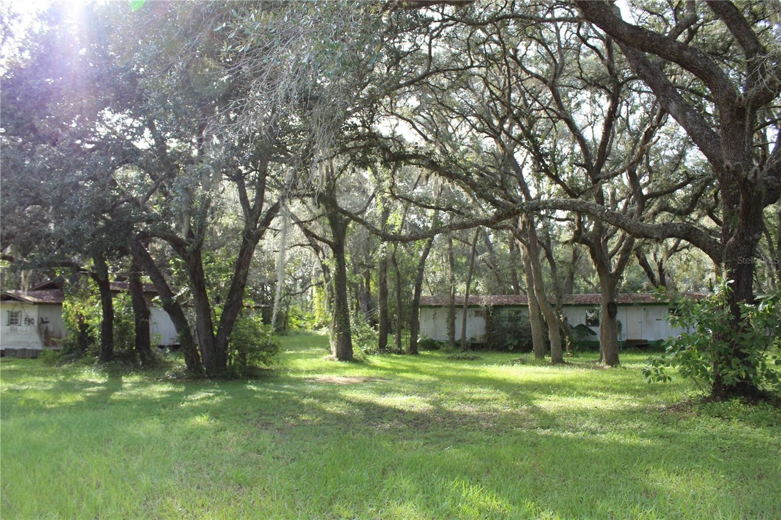 40 acres in Volusia County, Florida