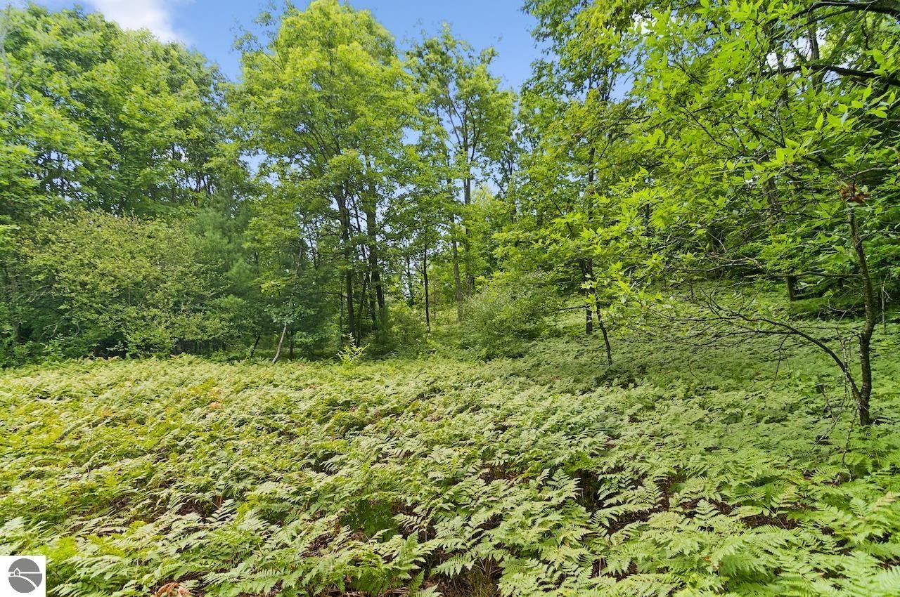 39 acres in Manistee County, Michigan