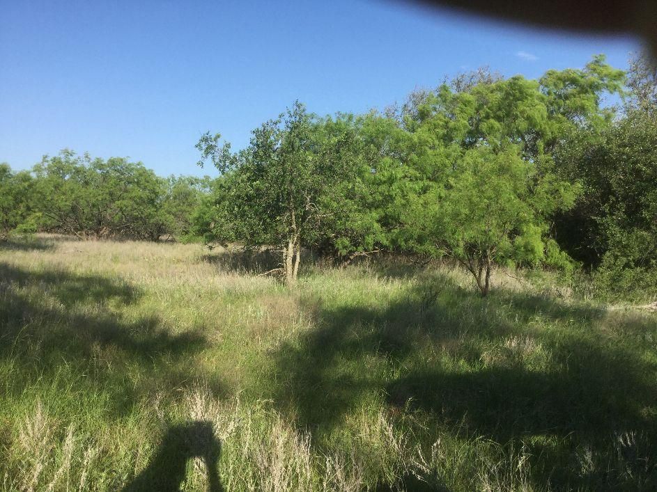10 acres in Ranger, TX, 76470