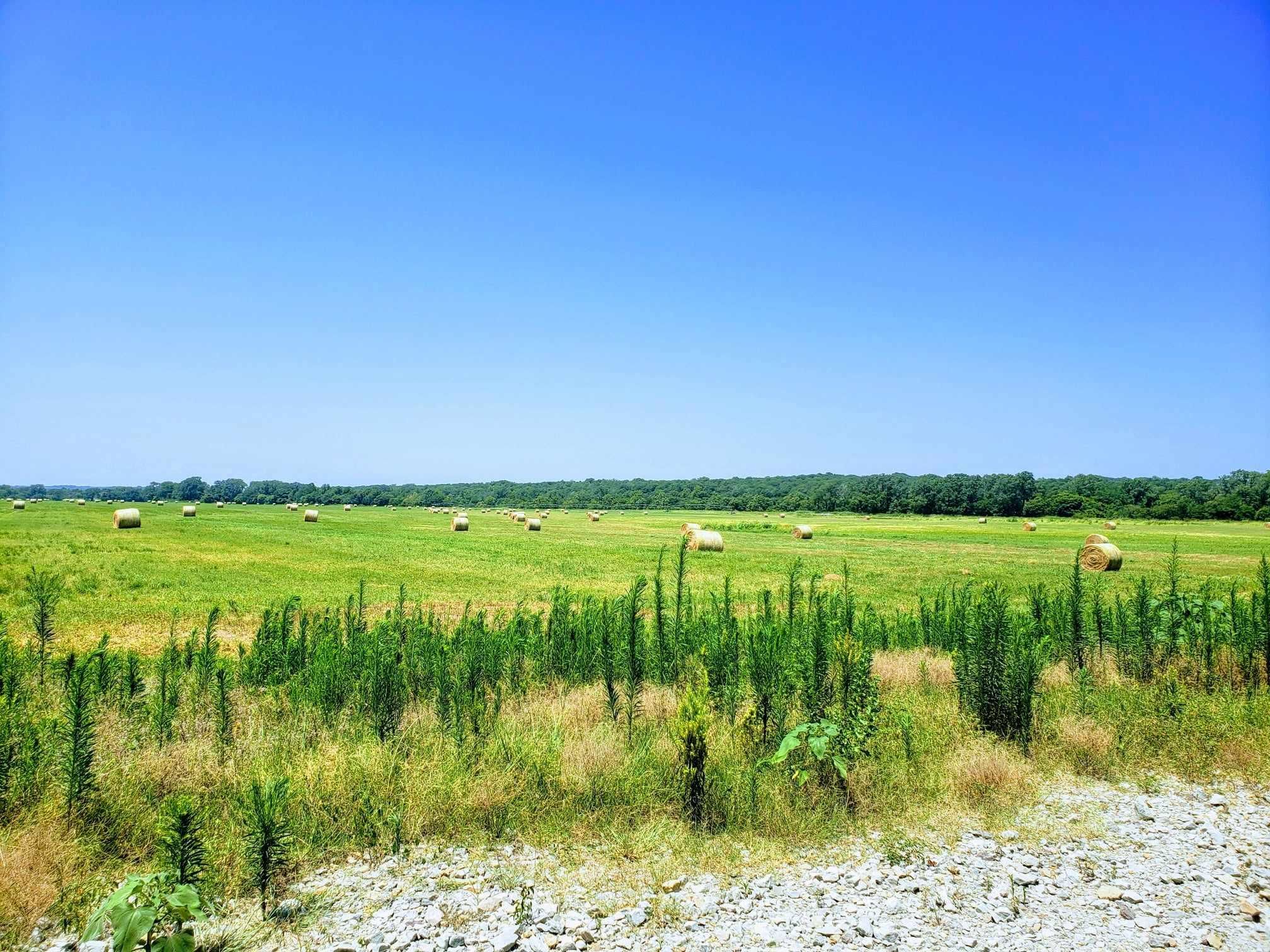 220 acres in Hughes County, Oklahoma