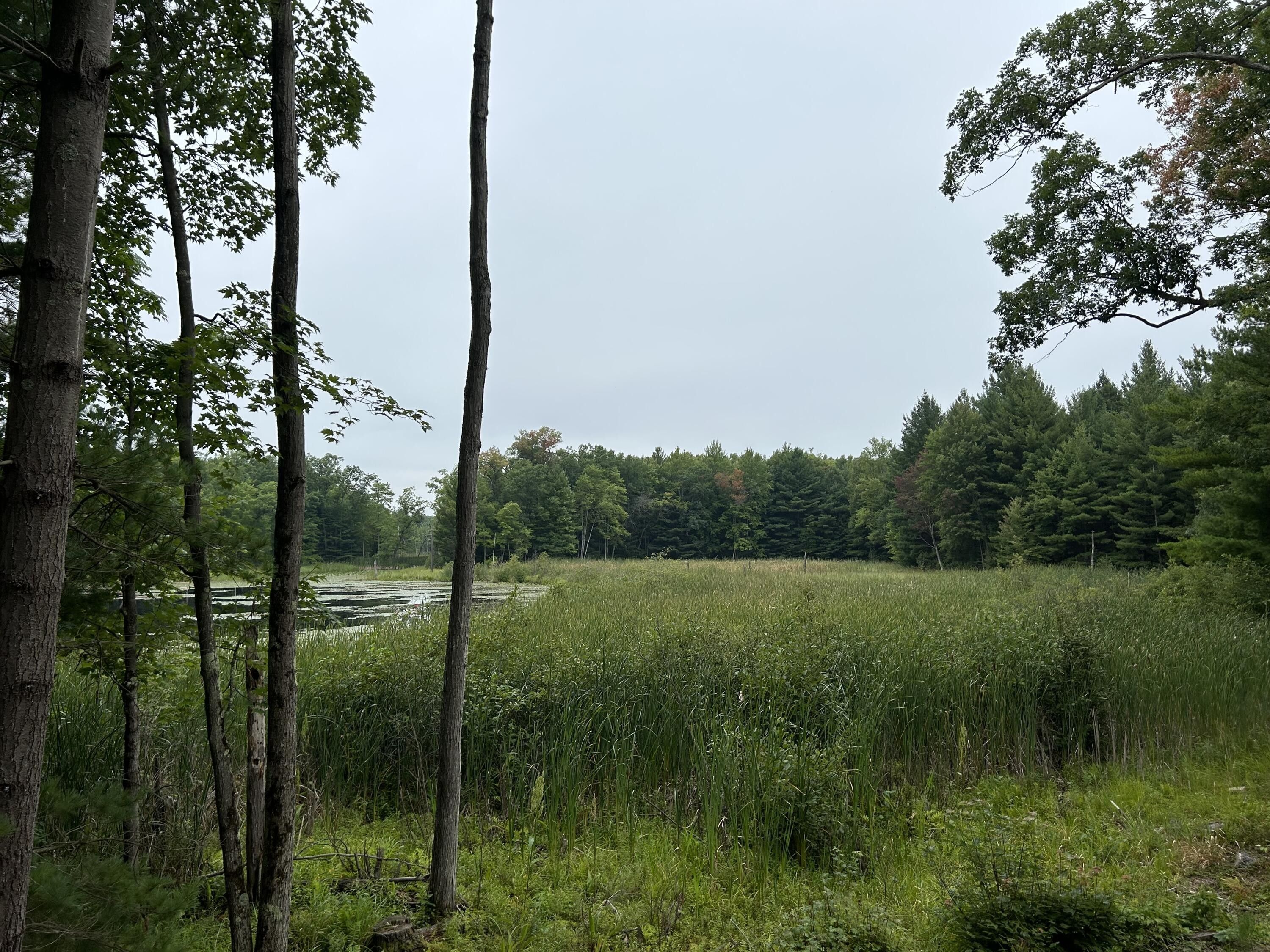 15 acres in Lake County, Michigan