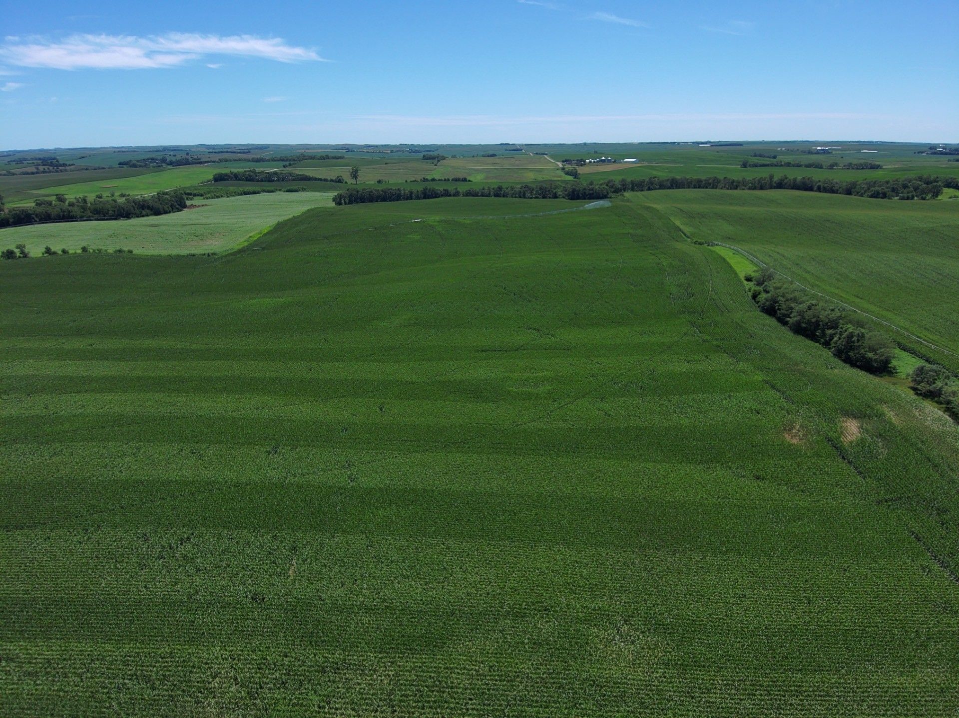 259.67 acres in Cedar County, Nebraska