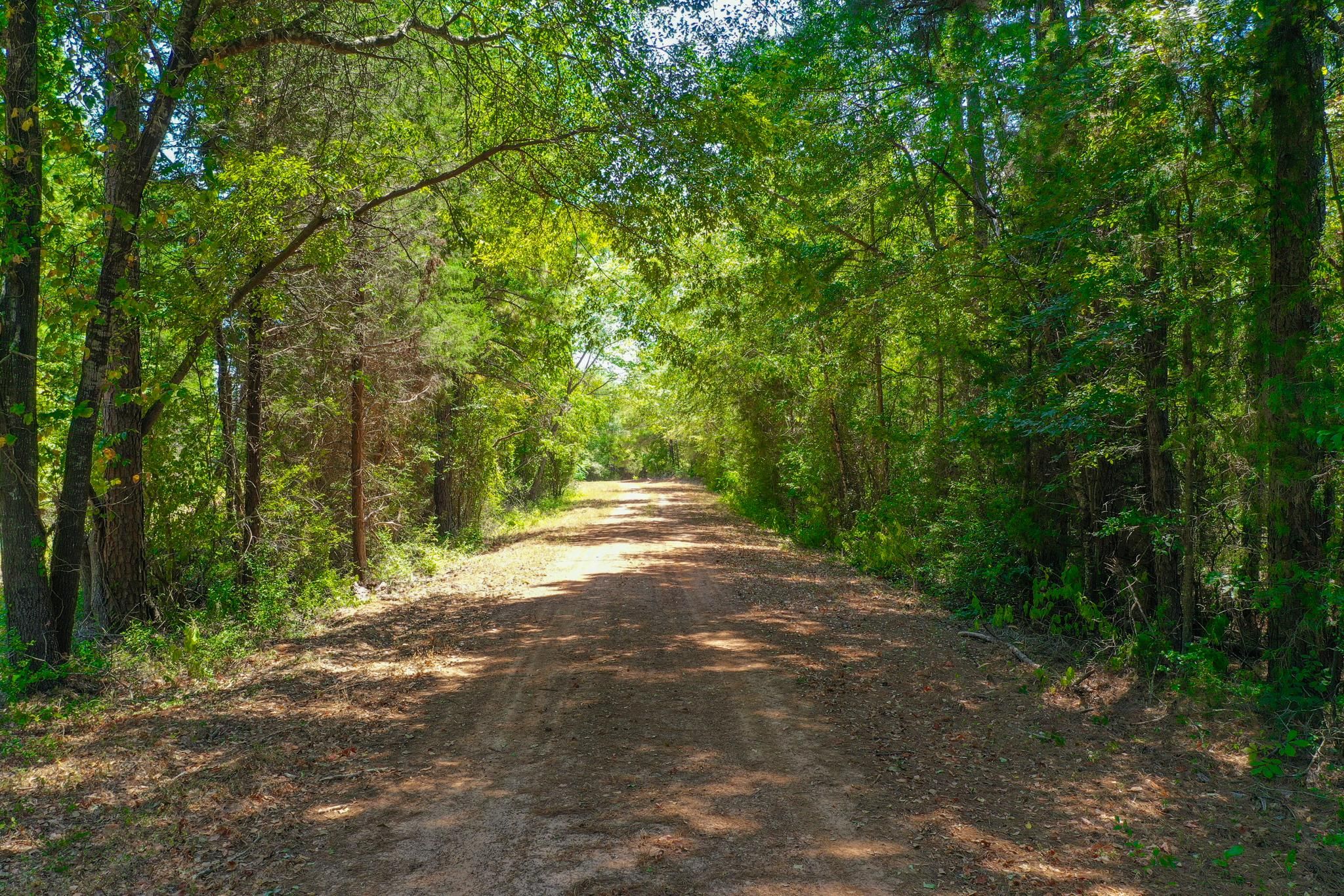 88 acres in Anderson County, Texas