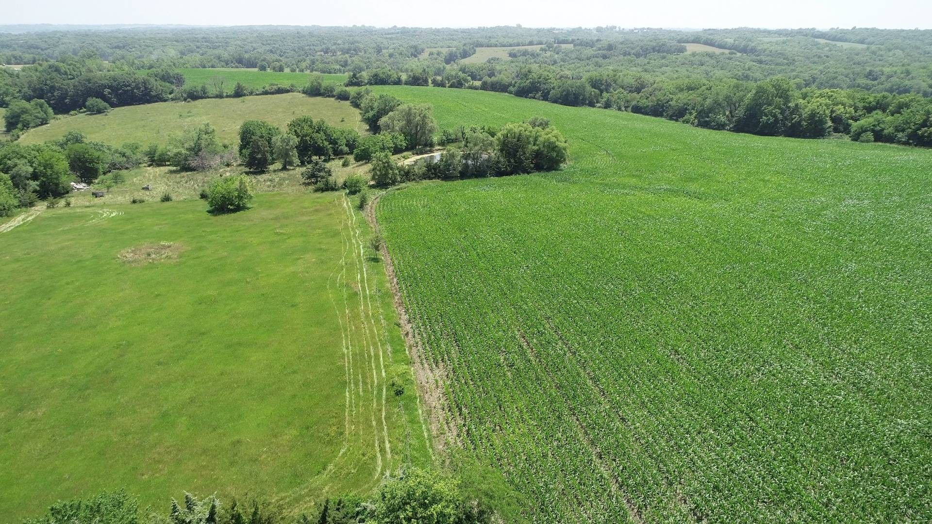36 acres in Taylor County, Iowa