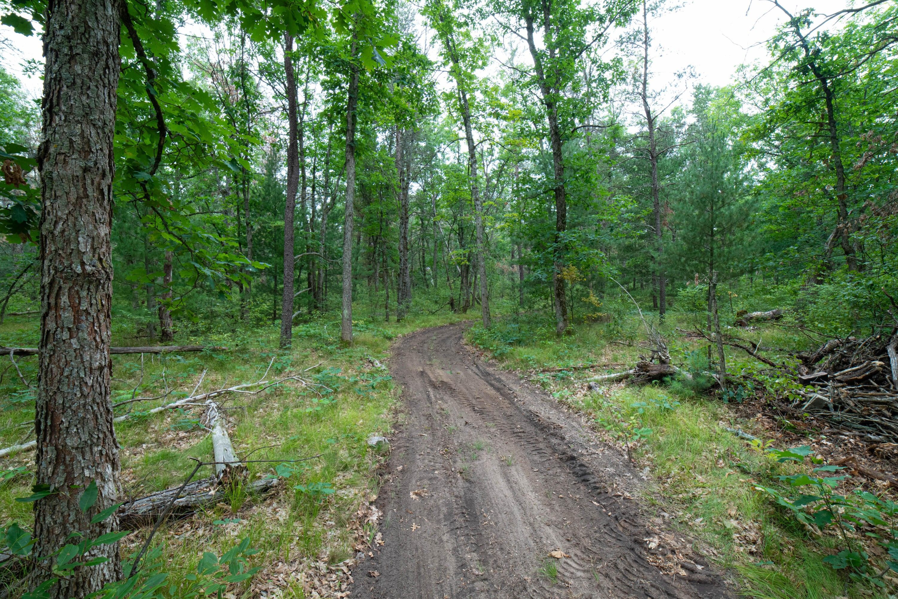 8 acres in Lake County, Michigan