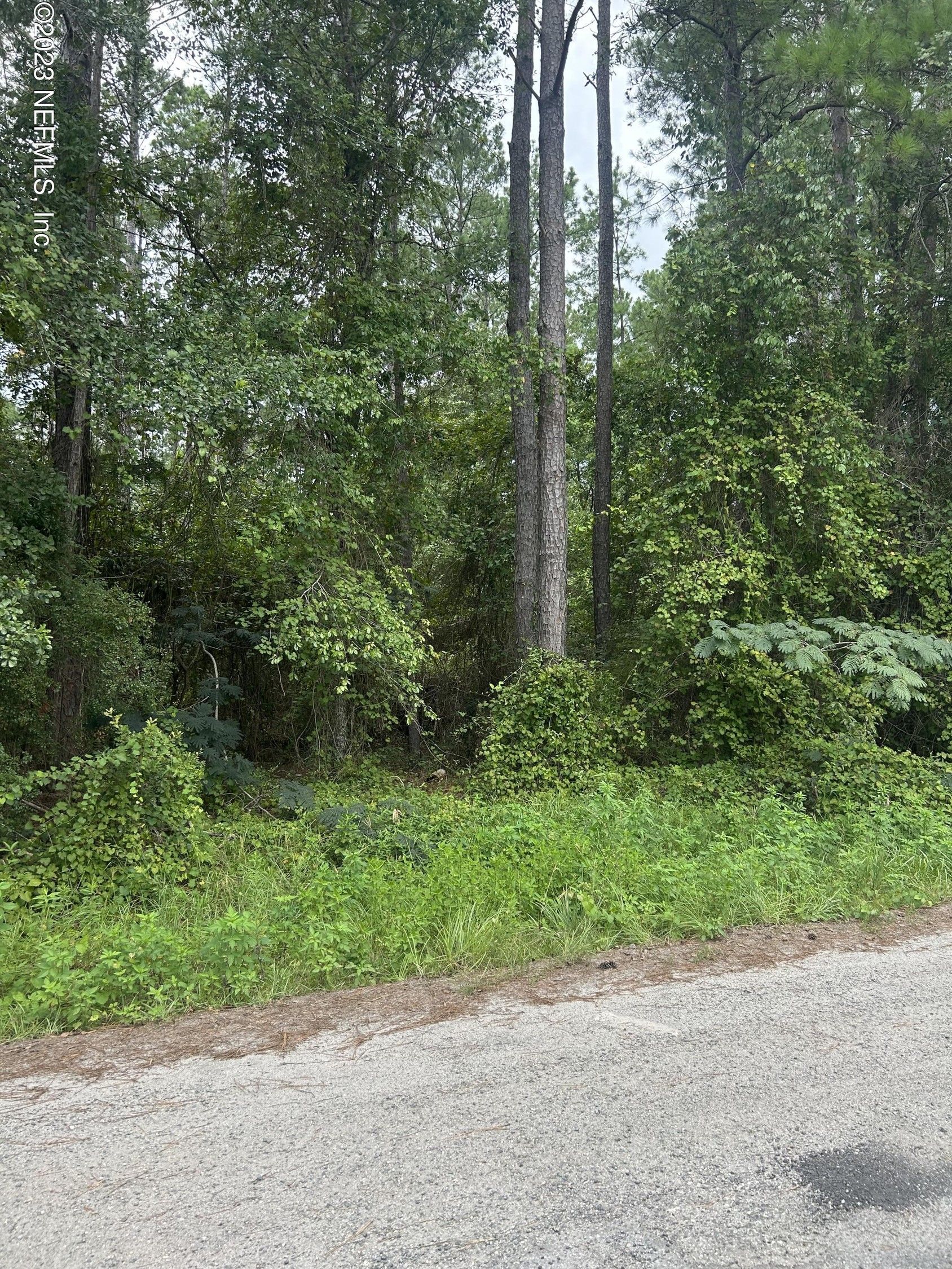 3 acres in Baker County, Florida