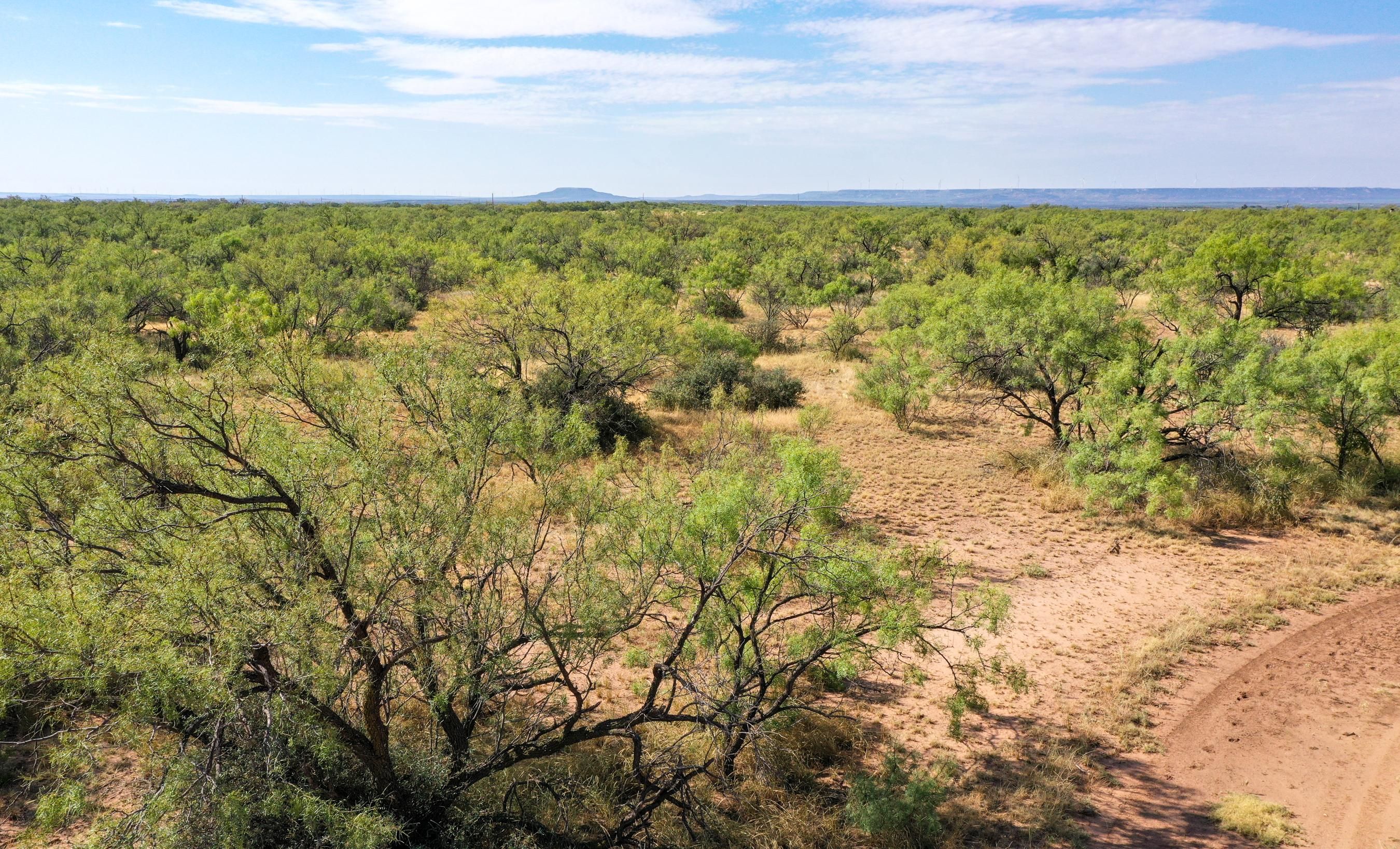 157.54 acres in Garza County, Texas