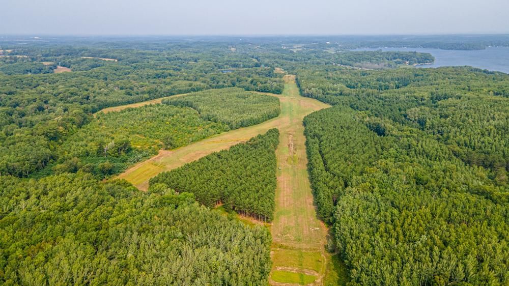 255 acres in Morrison County, Minnesota