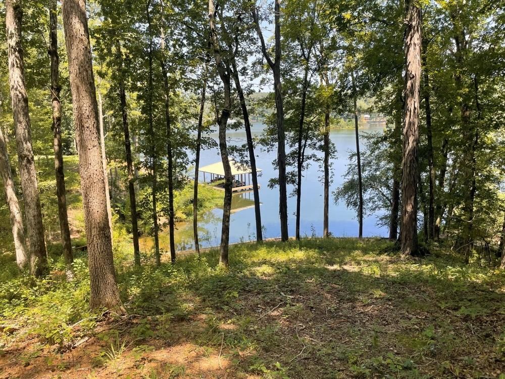 10 acres in Elmore County, Alabama