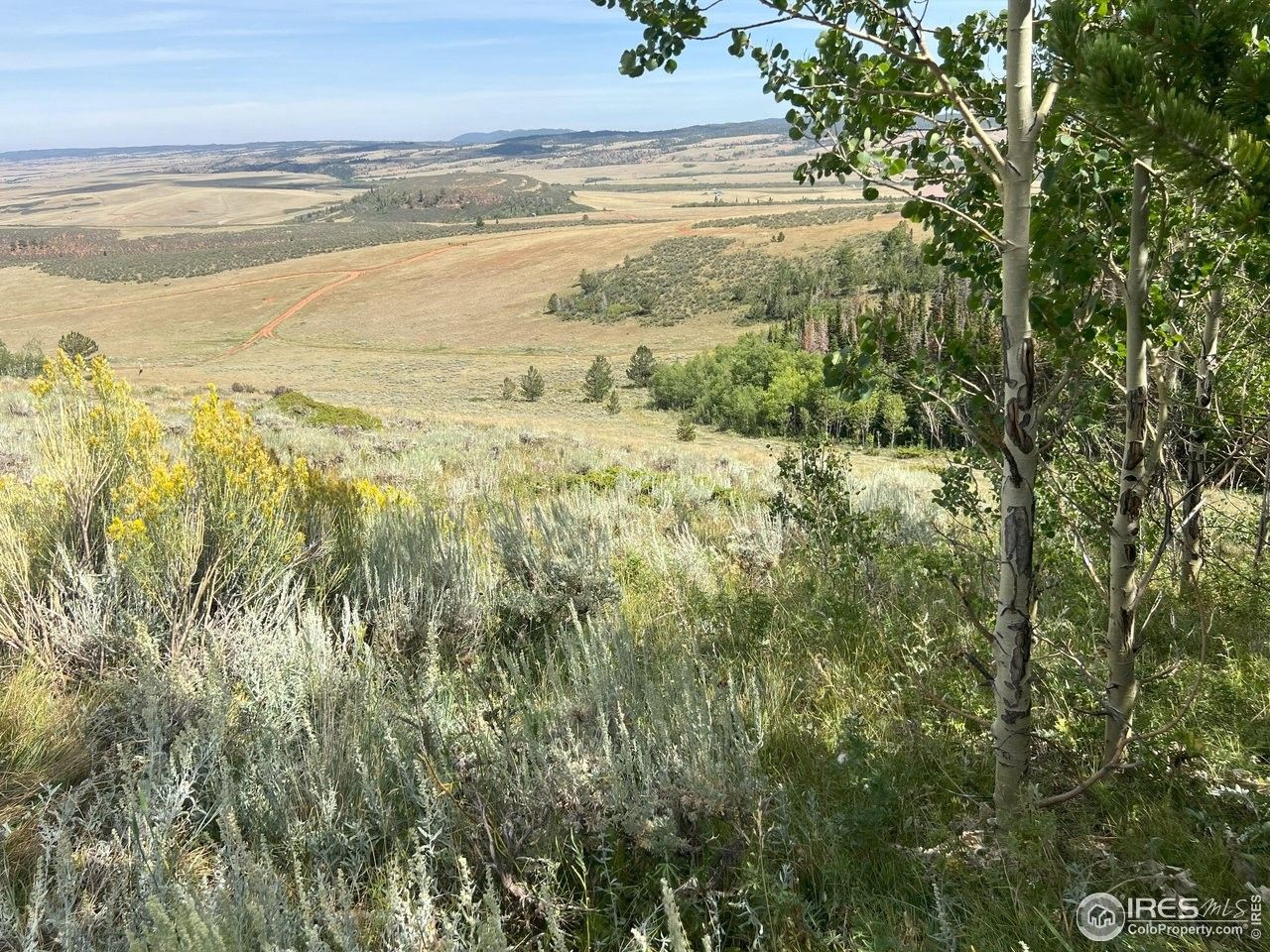 35 acres in Larimer County, Colorado