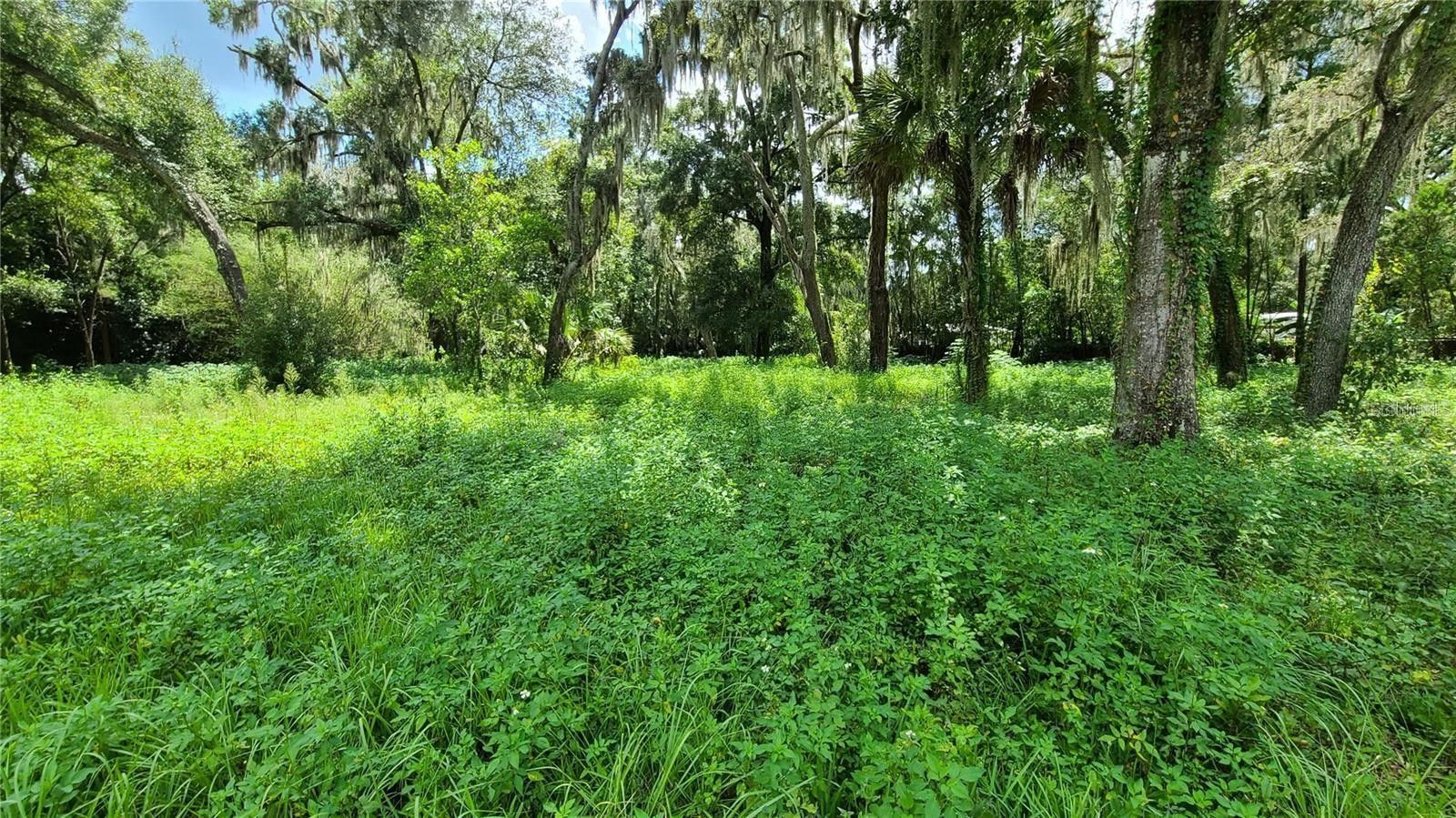 1.14 acres in Hillsborough County, Florida