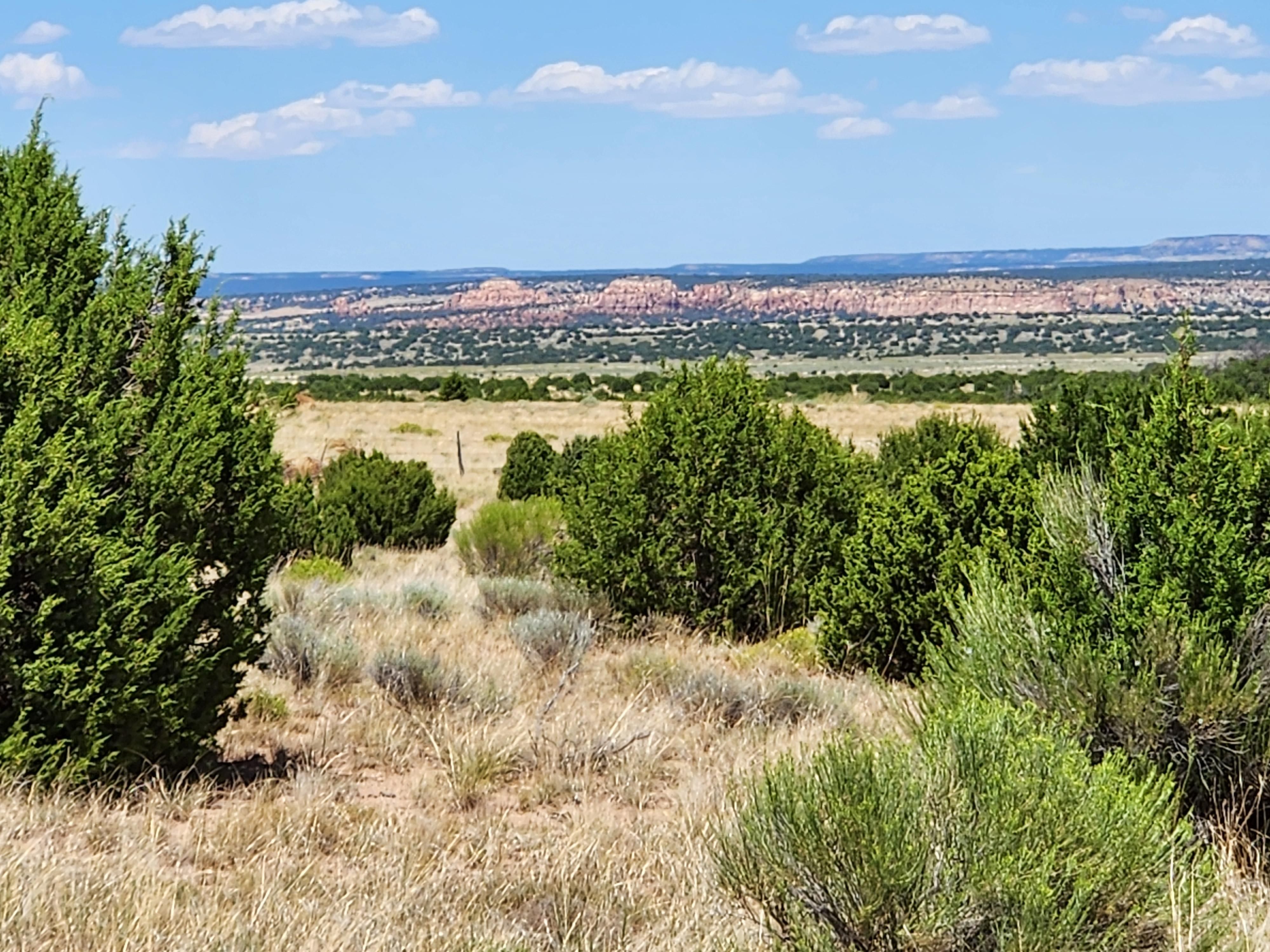 13.24 acres in Cibola County, New Mexico