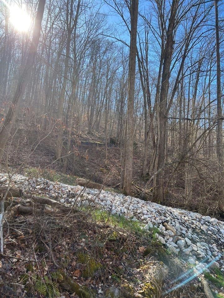 6 acres in Wayne County, West Virginia