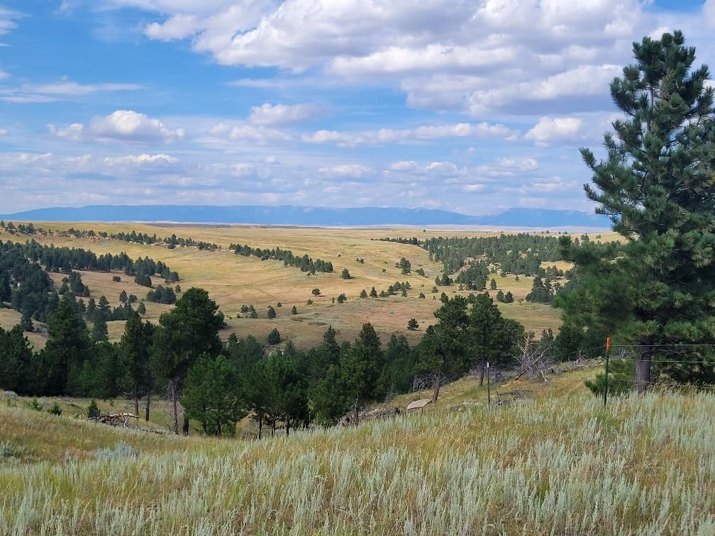 Fireside Dr, Shawmut, MT 59078