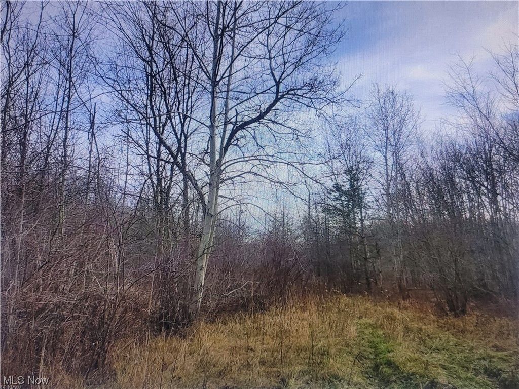 24.3 acres in Ashtabula County, Ohio