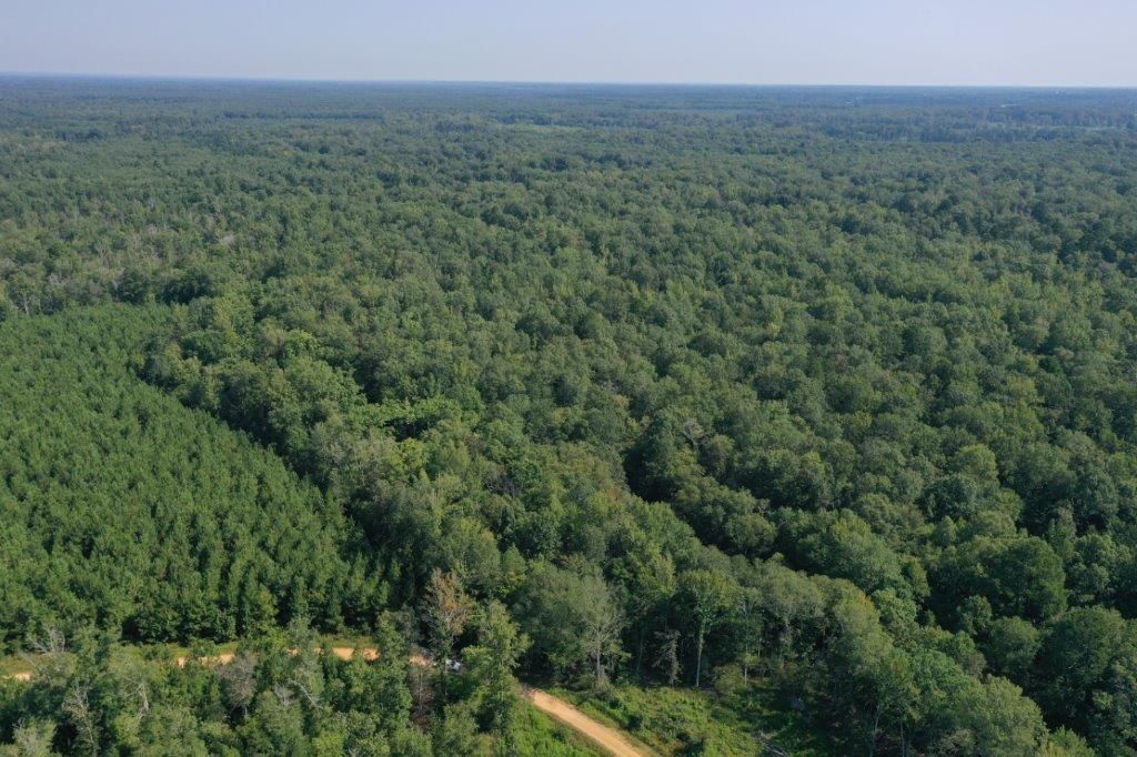 120 acres in Grant County, Arkansas