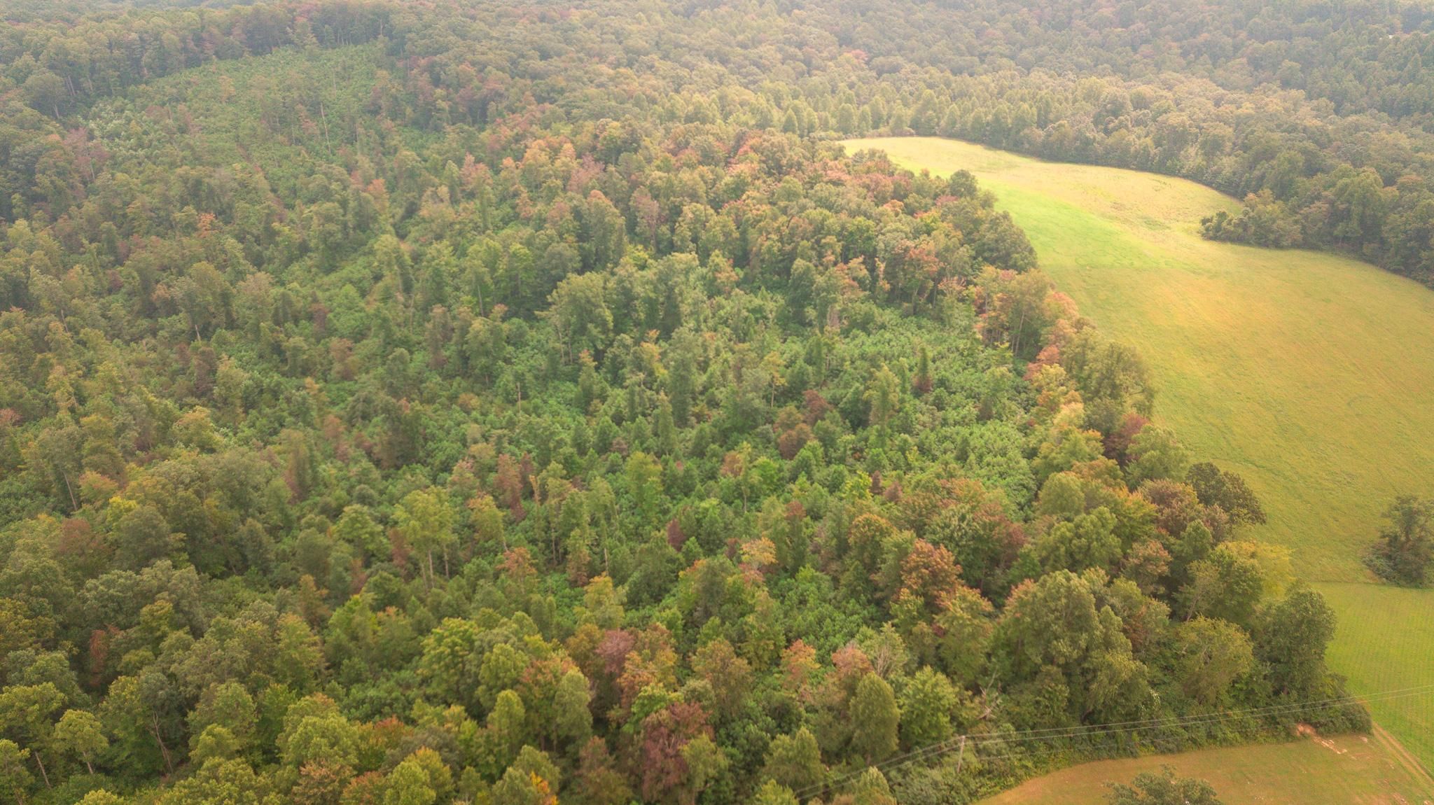 25 acres in Scioto County, Ohio