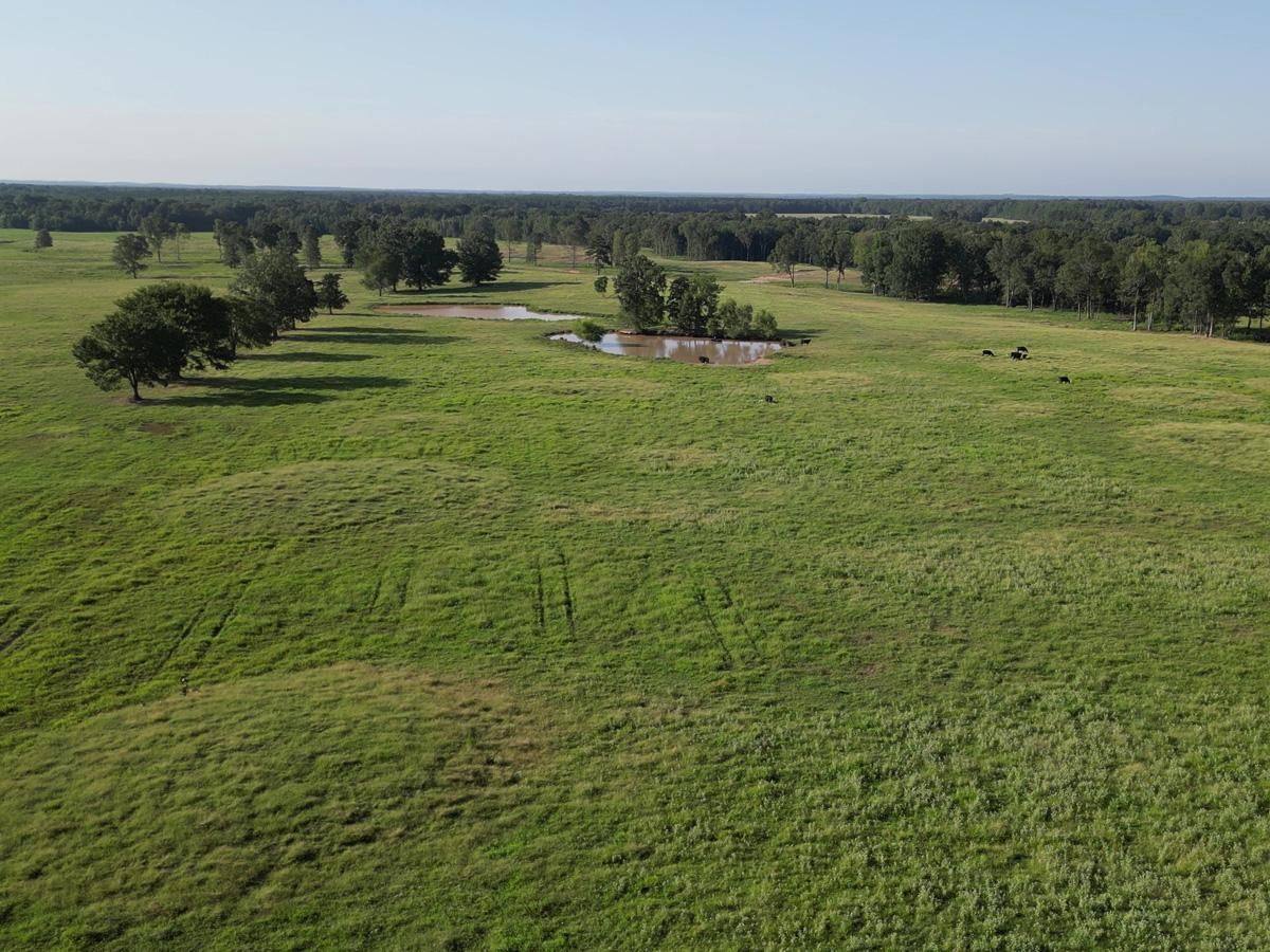 1,075 acres in Simms, TX, 75574
