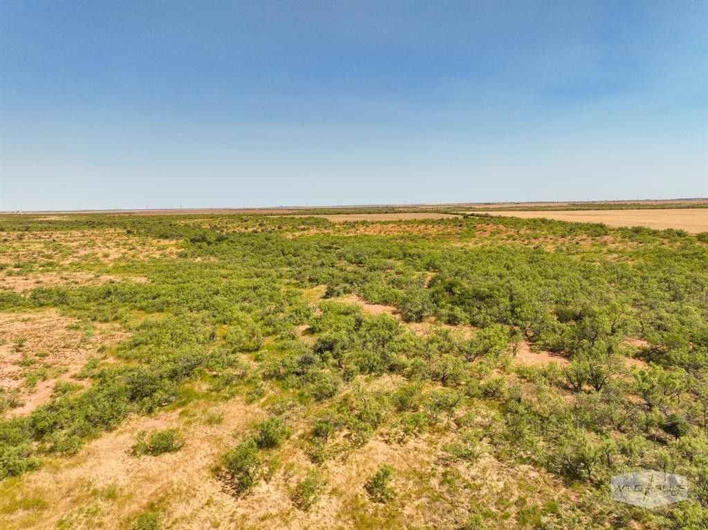 40 acres in Foard County, Texas
