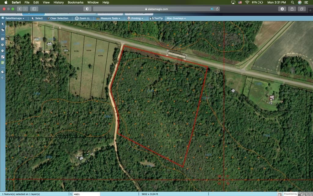 46.66 acres in Pike County, Alabama