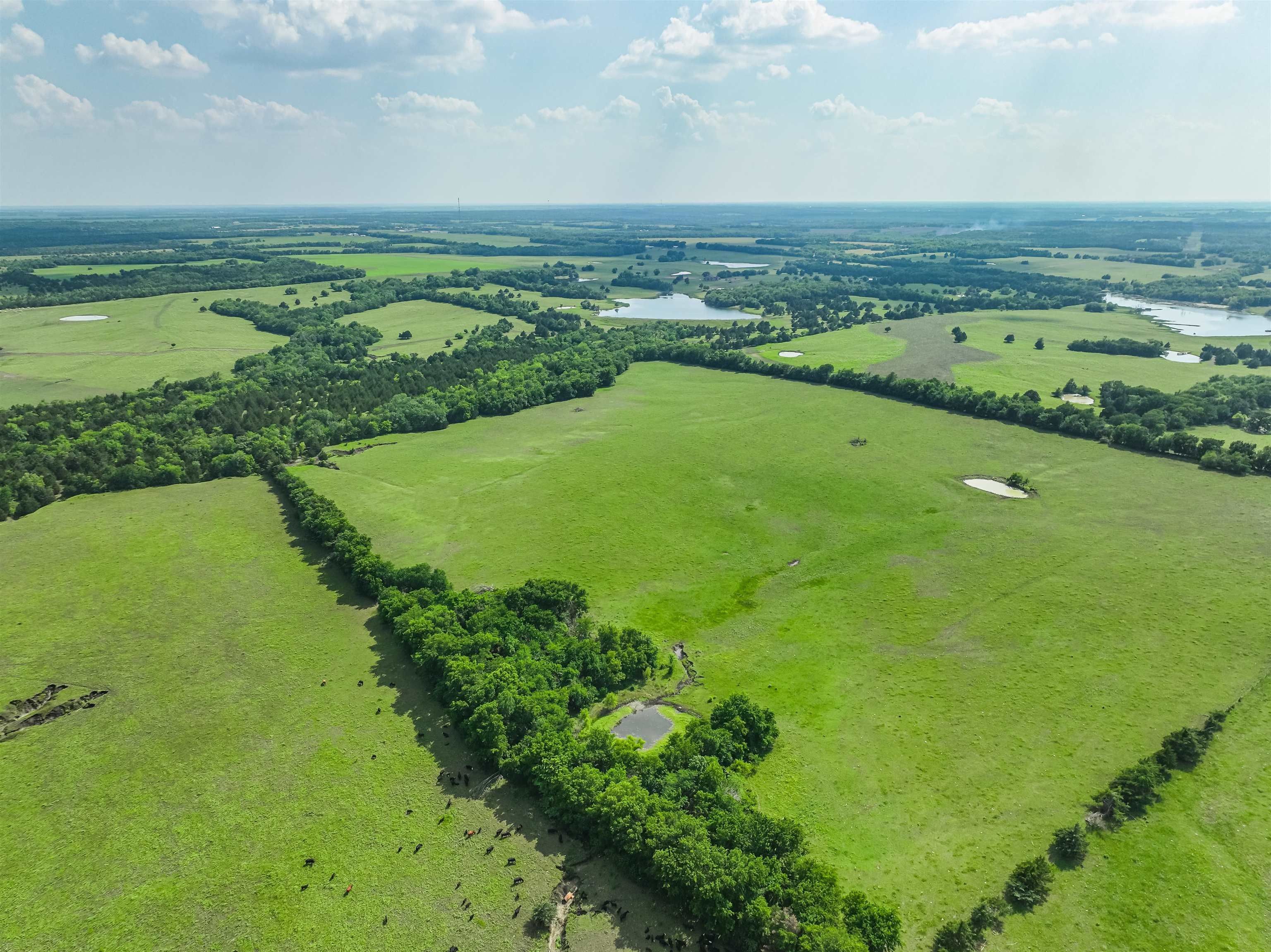 480 acres in Fannin County, Texas
