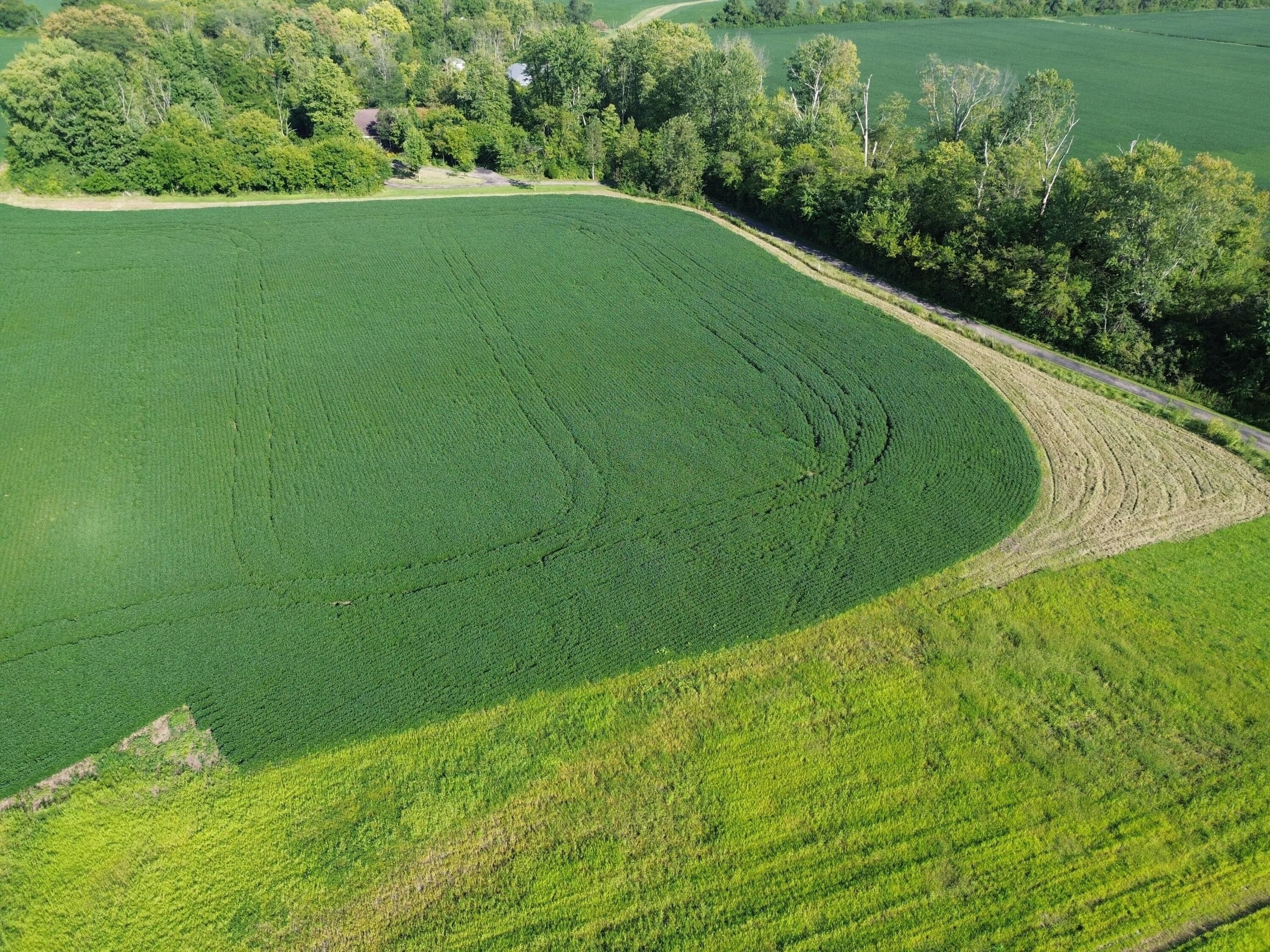 5.41 acres in Greene County, Ohio