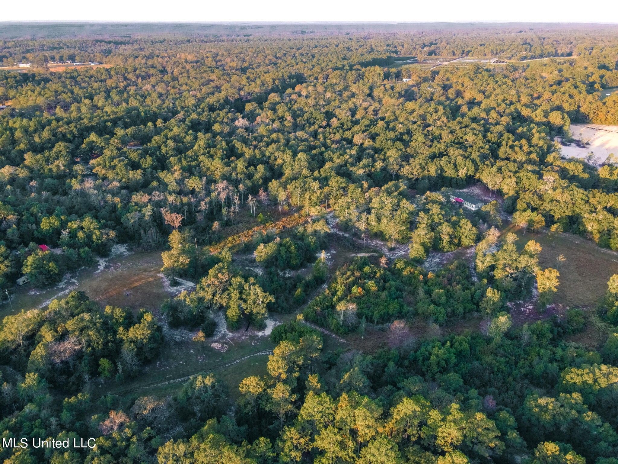 20 acres in Stone County, Mississippi