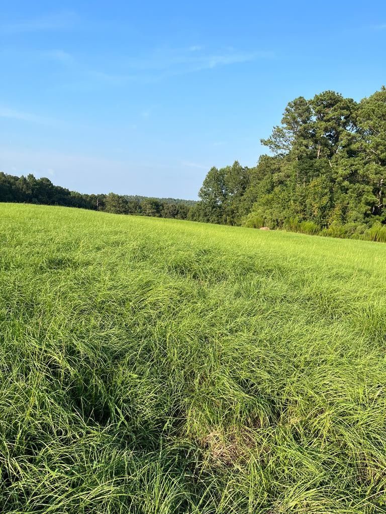 10 acres in Pike County, Alabama