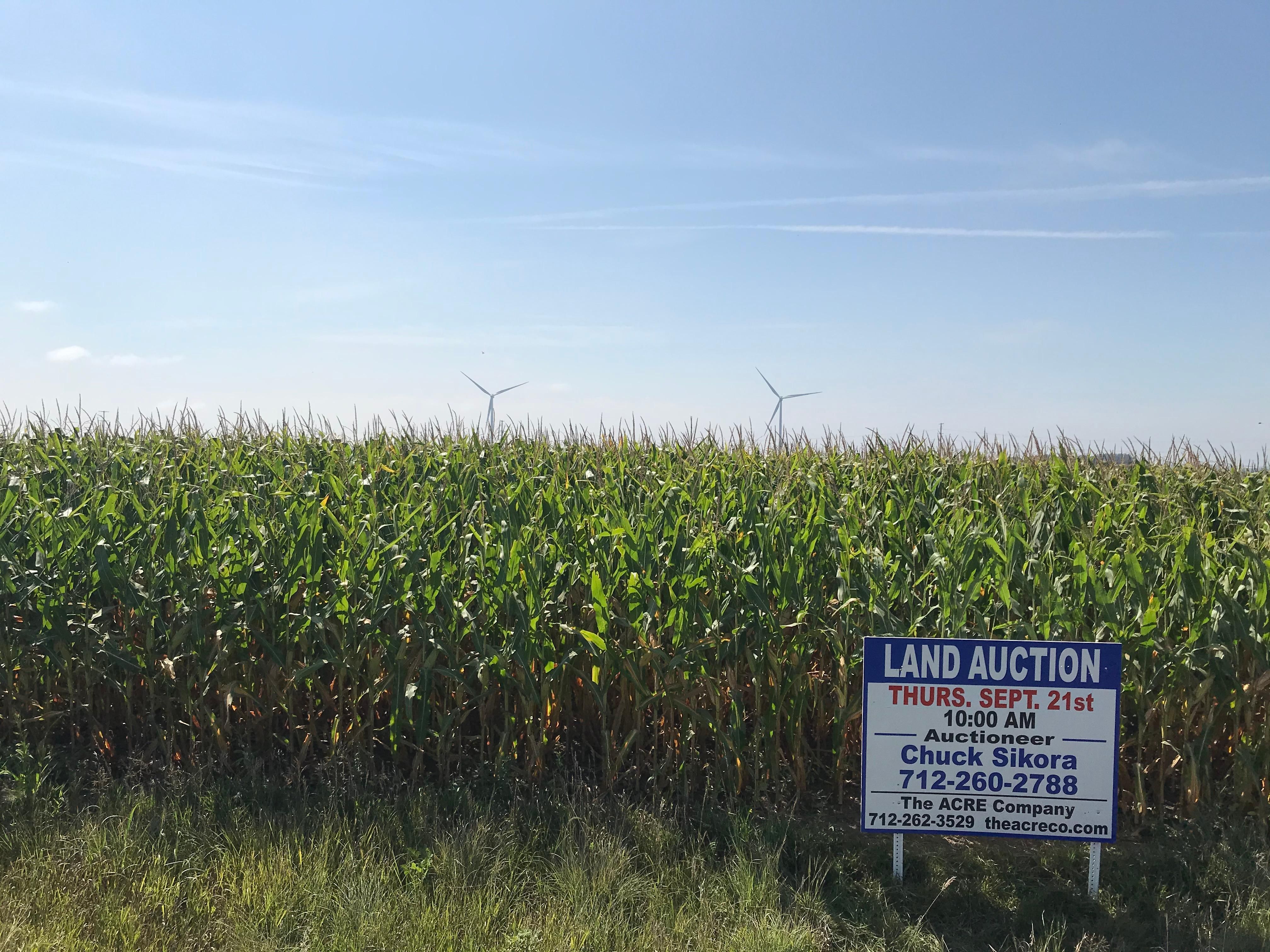 80 acres in Palo Alto County, Iowa