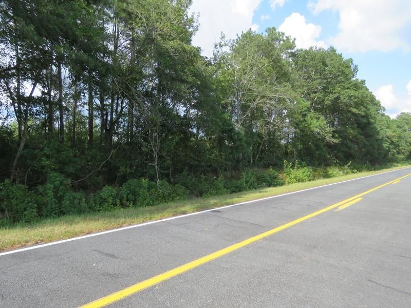 30 acres in Robeson County, North Carolina