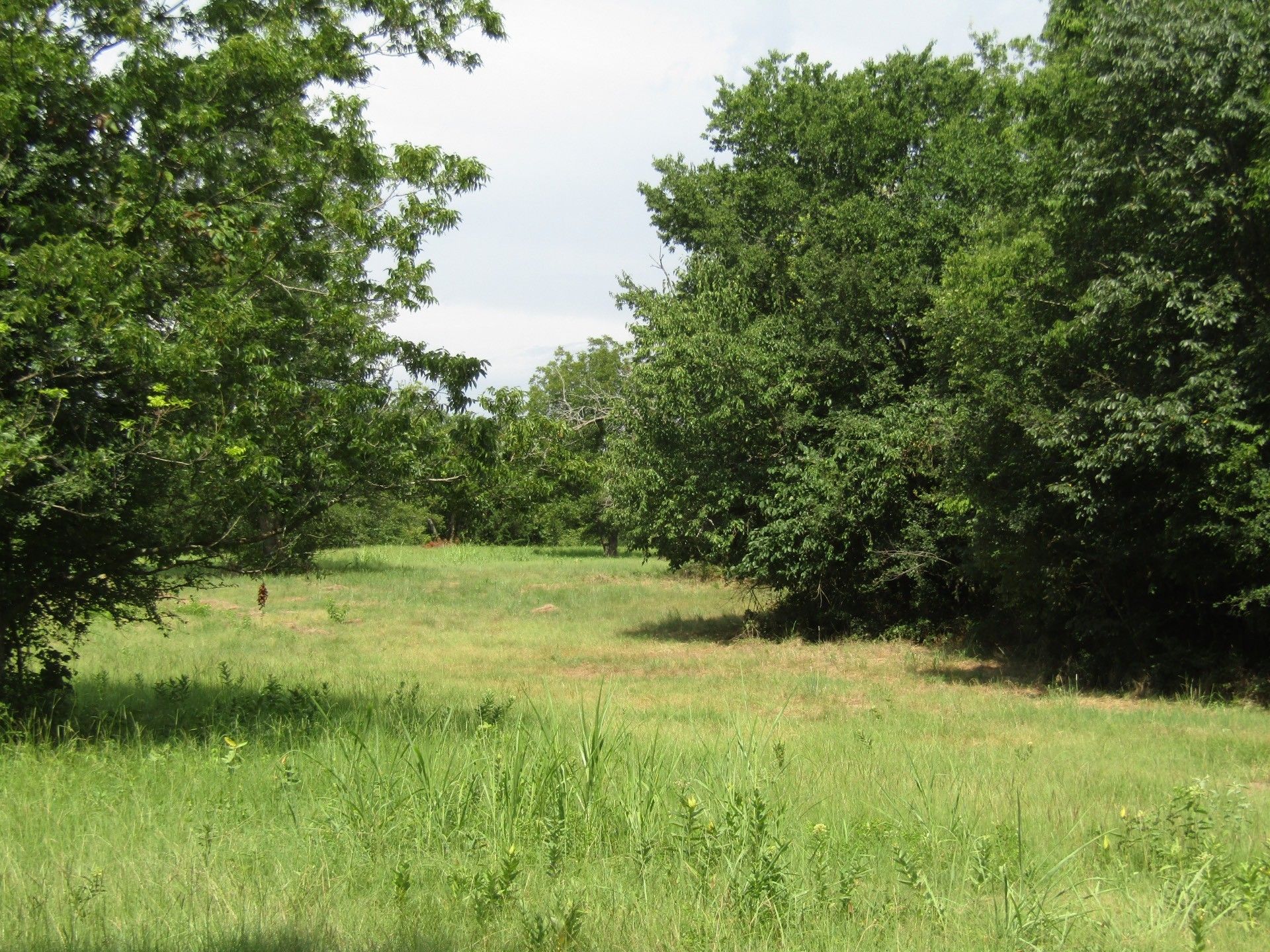 E 2090 Rd Rolling Hill Ranches Phase 2 Lot 3, Hugo, OK 74743 MLS
