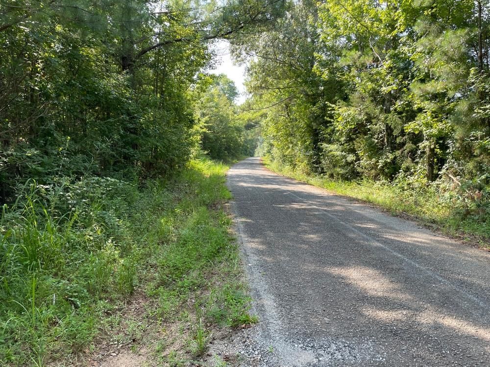 51.66 acres in Tallapoosa County, Alabama