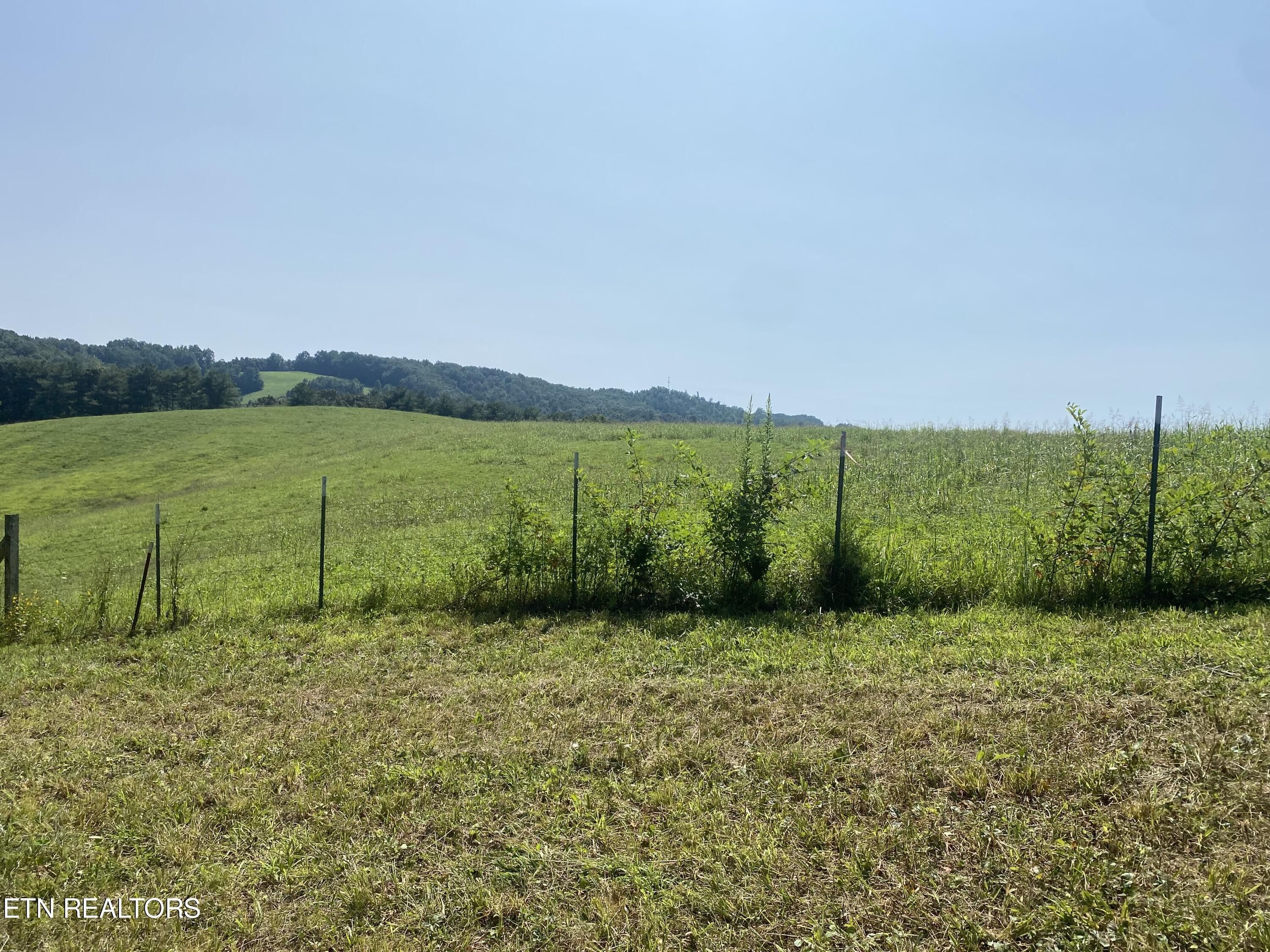 25 acres in Campbell County, Tennessee