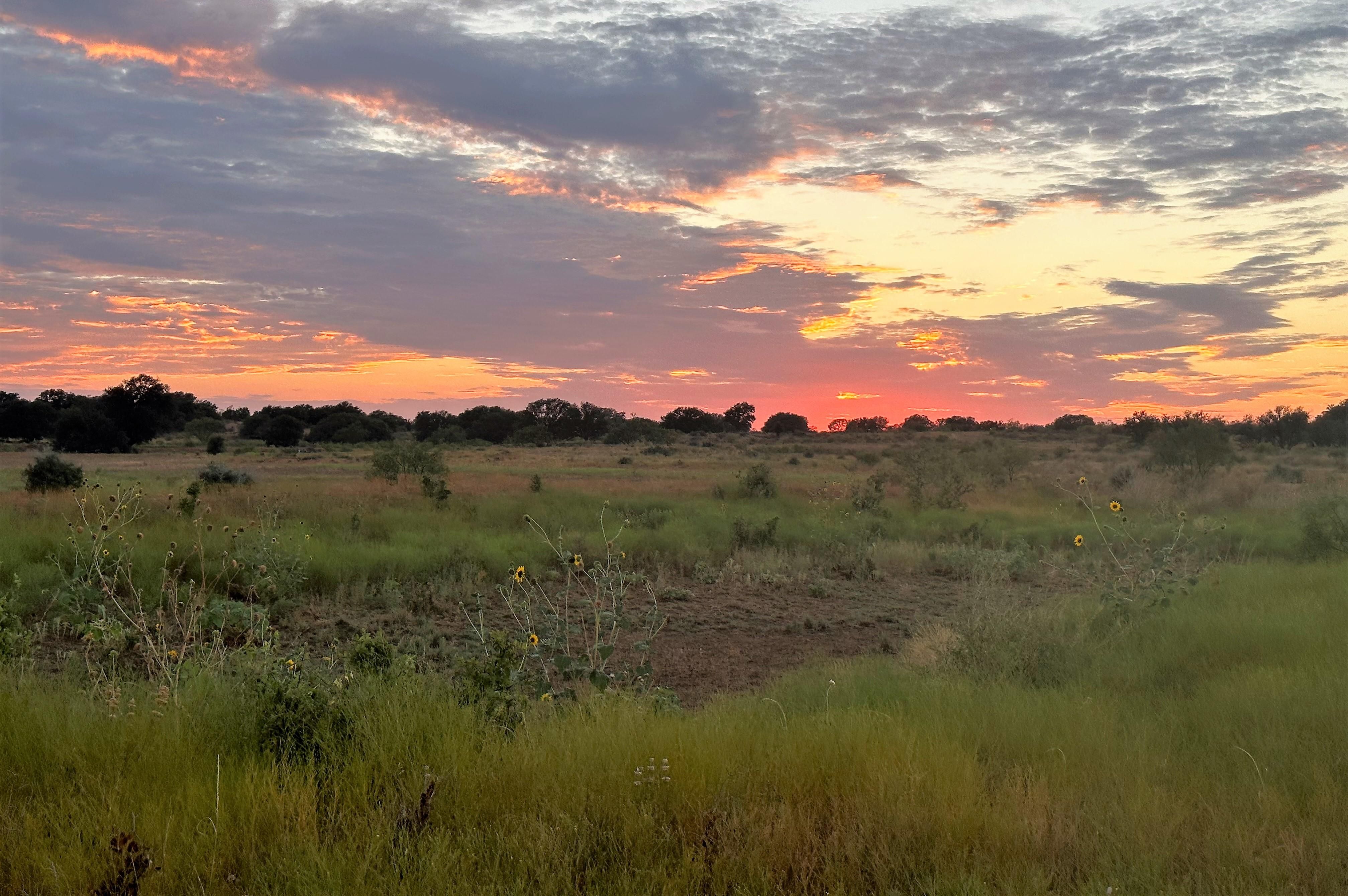1,341 acres in Bronte, TX, 76933