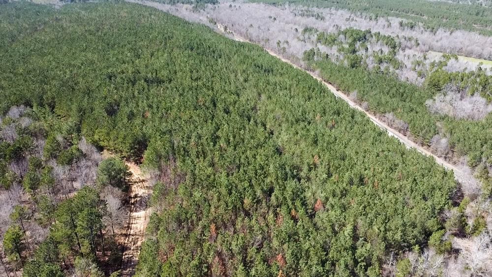 40 acres in Le Flore County, Oklahoma