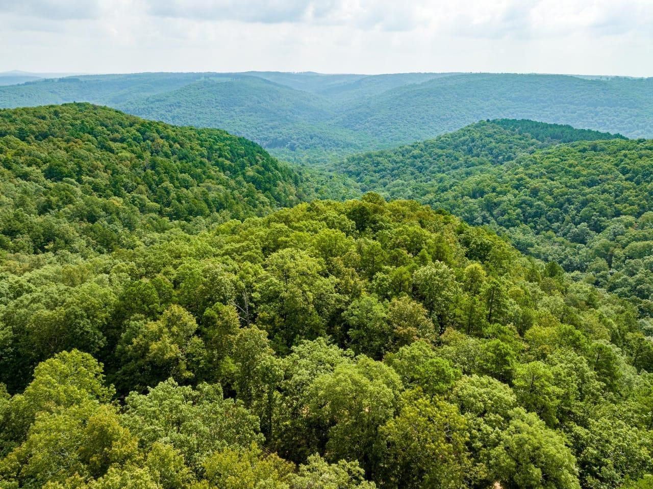 120 acres in Van Buren County, Arkansas